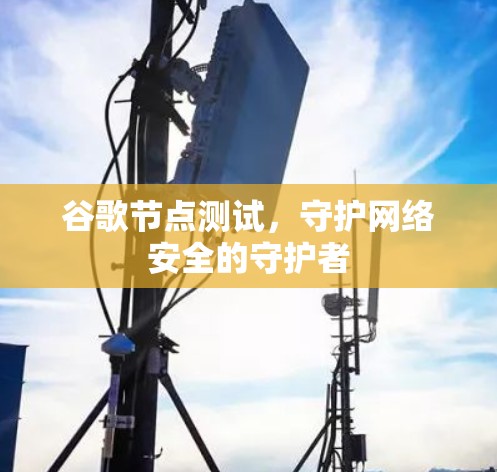 谷歌节点测试,守护网络安全的守护者 谷歌节点测试,守护网络安全的守护者