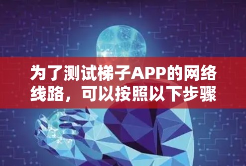 为了测试梯子APP的网络线路,可以按照以下步骤进行 为了测试梯子APP的网络线路,可以按照以下步骤进行