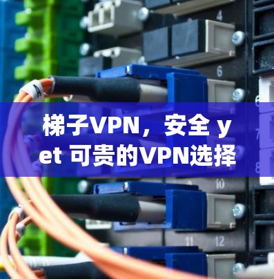 梯子VPN,安全 yet 可贵的VPN选择 梯子VPN,安全 yet 可贵的VPN选择