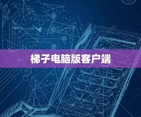 梯子电脑版客户端