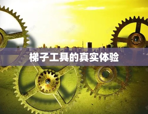 梯子工具的真实体验