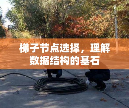 梯子节点选择,理解数据结构的基石