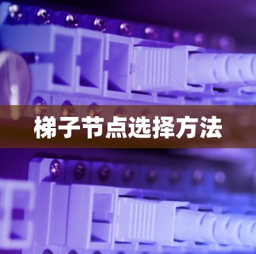 梯子节点选择方法