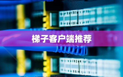 梯子客户端推荐 梯子客户端推荐