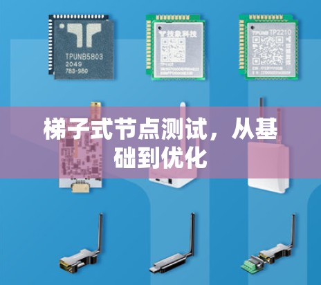 梯子式节点测试,从基础到优化