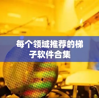每个领域推荐的梯子软件合集 每个领域推荐的梯子软件合集