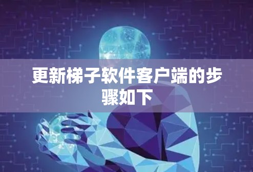 更新梯子软件客户端的步骤如下