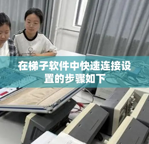 在梯子软件中快速连接设置的步骤如下